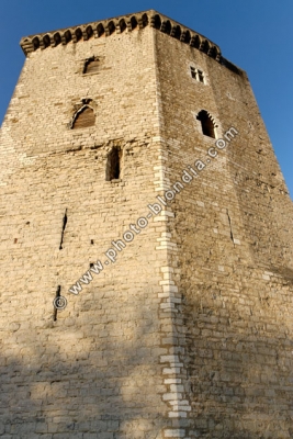 1275_LD_S1