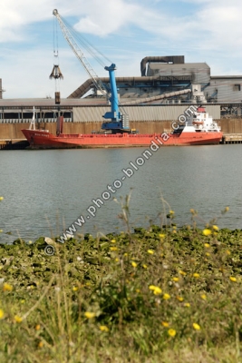 1032_S1