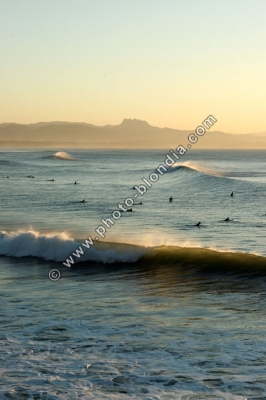 1108_LD_S1