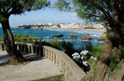 1544_LD_S2