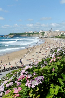 1460_LD_S2
