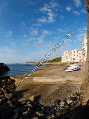 1268_LD_S1