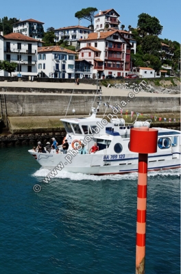 1831_DG_S1