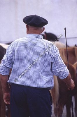98_DG_S1