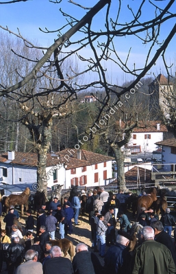 330_DG_S1