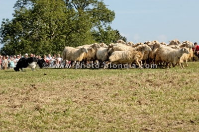 1301_DG_S1