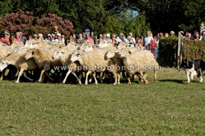 1305_DG_S1